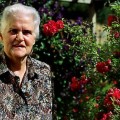 ��� ��������� (Anne McCaffrey)